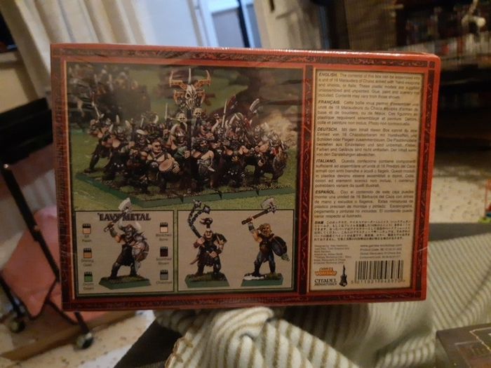 Warhammer Marauders of chaos regiment