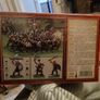Warhammer Marauders of chaos regiment Image 2