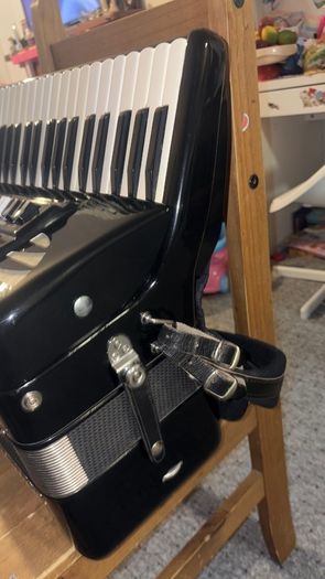 accordion excelsior