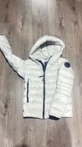 canada goose