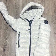 canada goose