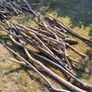 Firewood Image 2