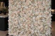 Champagne Flower Wall Hire 8ft x 8ft