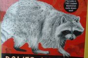 Power Animals, How to connect with your animal spirit guide, Steven farmer, Paperback book