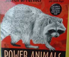 Power Animals, How to connect with your animal spirit guide, Steven farmer, Paperback book