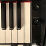 Yamaha Digital Piano YDP-145 Image 7