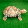 Original WADE Whimsy Tortoise trinket box Image 2