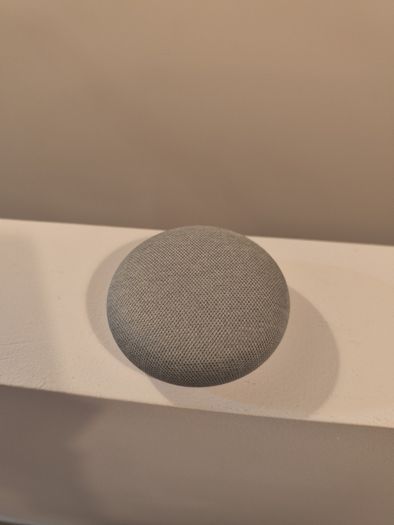 Google Nest Mini