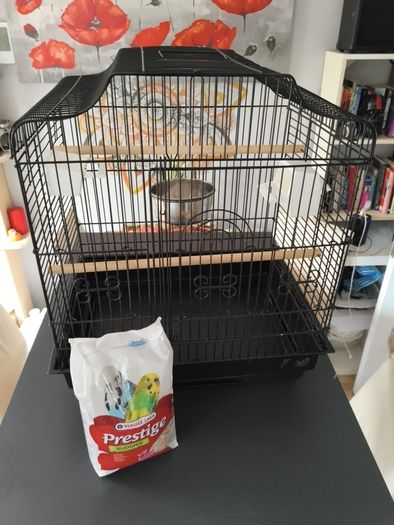 Bird cage