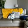 3 piece couch Image 3