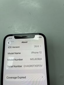 iPhone 12