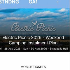 Electric Picnic Ticket