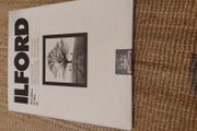 Ilford Multigrade IV RC 16"x20" 50sheet box
