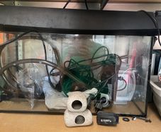 aquariumsx2 and all related equipment for both fresh and seawater fish. Including filters, lighting, water testing, maintenance and various other equipment.