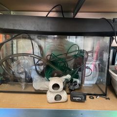 aquariumsx2 and all related equipment for both fresh and seawater fish. Including filters, lighting, water testing, maintenance and various other equipment.