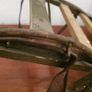 Ww2 soldiers  backpack Image 3