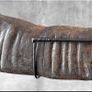 Water buffalo horn. Image 3