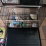 Large Bird Flight Cage Image 4