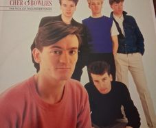 The Undertones - Cher o'Bowlies - The pick of the Undertones - 1986