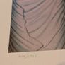 James Jean Frankenstein Signed and Embossed Movie Poster Guillermo Del Toro Art Print #/1337 Image 4