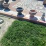 garden Image 4