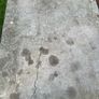 Outdoor table Image 4