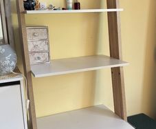 Cabinet or book shelf
