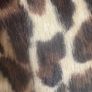 Lipsy London animal print faux fur coat size UK12 EU40 Perfect condition Image 4