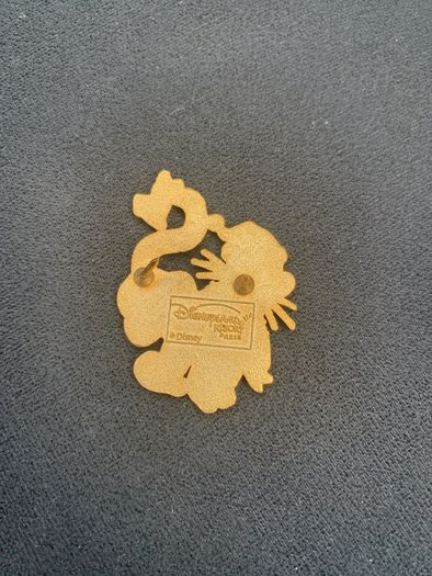 Disneyland Pin