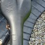 Large 22" Frame Guys Used Bike Image 3