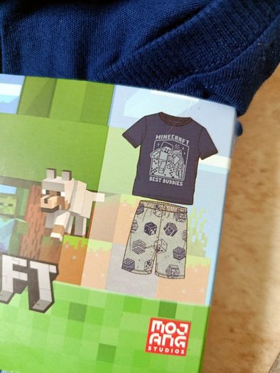 Minecraft 2026 Boys Pyjama Set 158/164 12-14 Years Blue/Grey Mojang