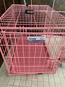 Dog pink I Crate