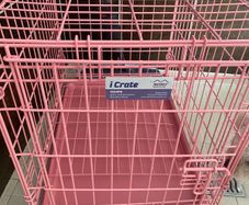 Dog pink I Crate