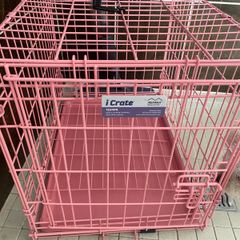Dog pink I Crate