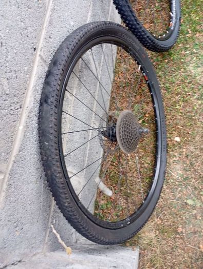 29"  wheels
