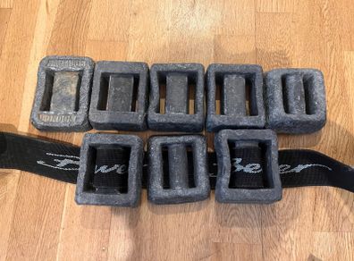 Diving Weights