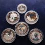 314 Euro issue price - 5 X Silver Tropical Zone coin medal set with Germany 5 euro 2018 Image 6