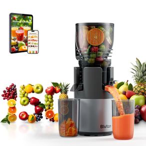 Brand New Slow Cold Press Juicer 300W Reverse Function
