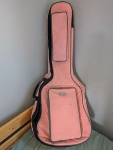 pink guitar case