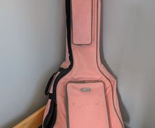 pink guitar case