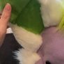Puppy Fursuit Head and Tail Image 4