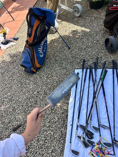 lynx golf set