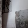 Irish Eccentrics / Peter Somerville- Large /1st Paperback ed. / Lilliput/ 1990 Image 7