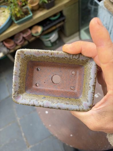 bonsai pot