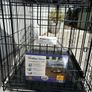 Dog Crate Image 2