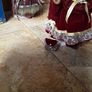 porcelain dolls Image 5