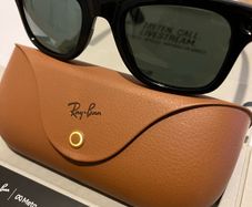 Ray-Ban Meta Wayfarer Sunglasses