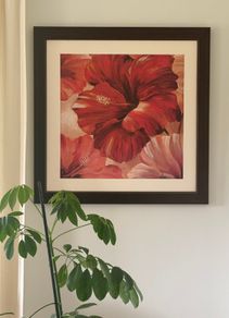 Sunlit Bloom II by Nan Large framed floral Hibiscus wall art