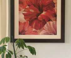 Sunlit Bloom II by Nan Large framed floral Hibiscus wall art