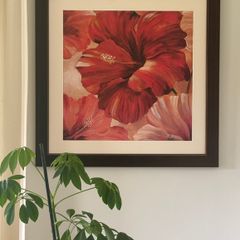 Sunlit Bloom II by Nan Large framed floral Hibiscus wall art